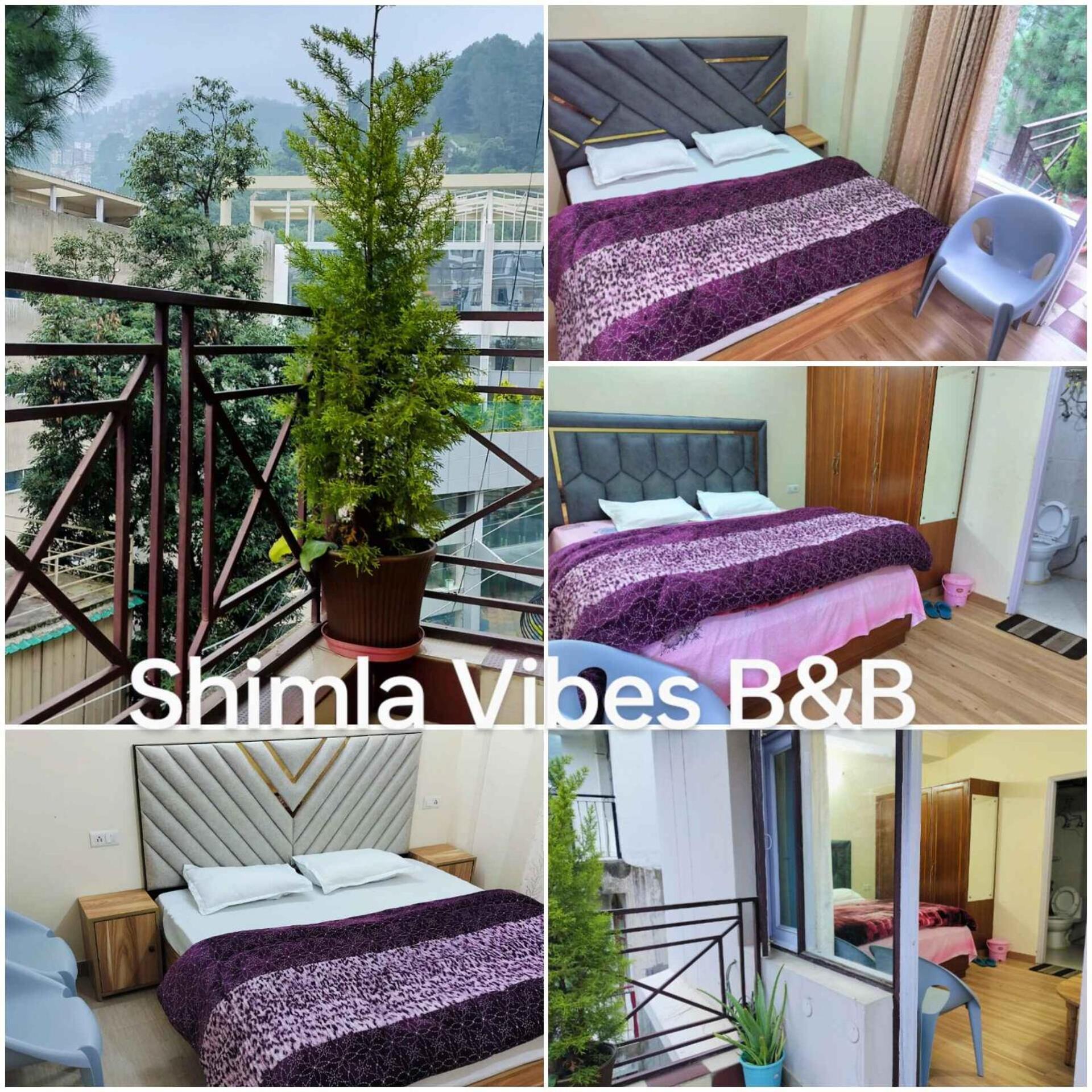 Shimla Vibes B & B Free Pick And Drop From Isbt ชิมลา ภายนอก รูปภาพ